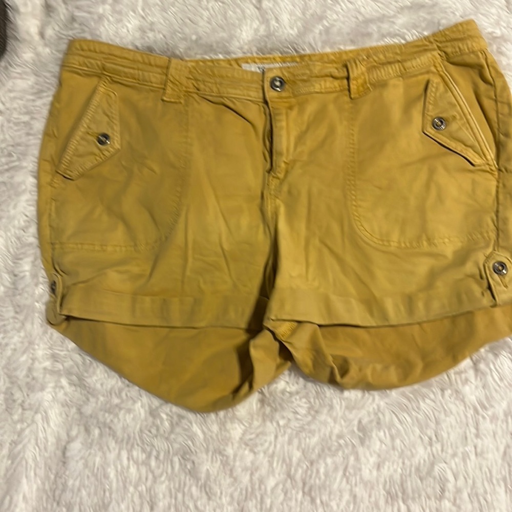 Mustard color